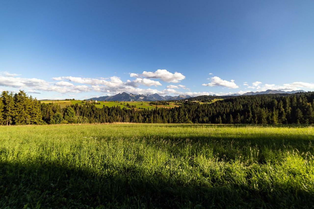 Willa Mnich Bukowina Tatrzańska Esterno foto